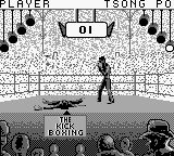 自由搏击之王／最佳空手道冠军GB游戏截图第10张