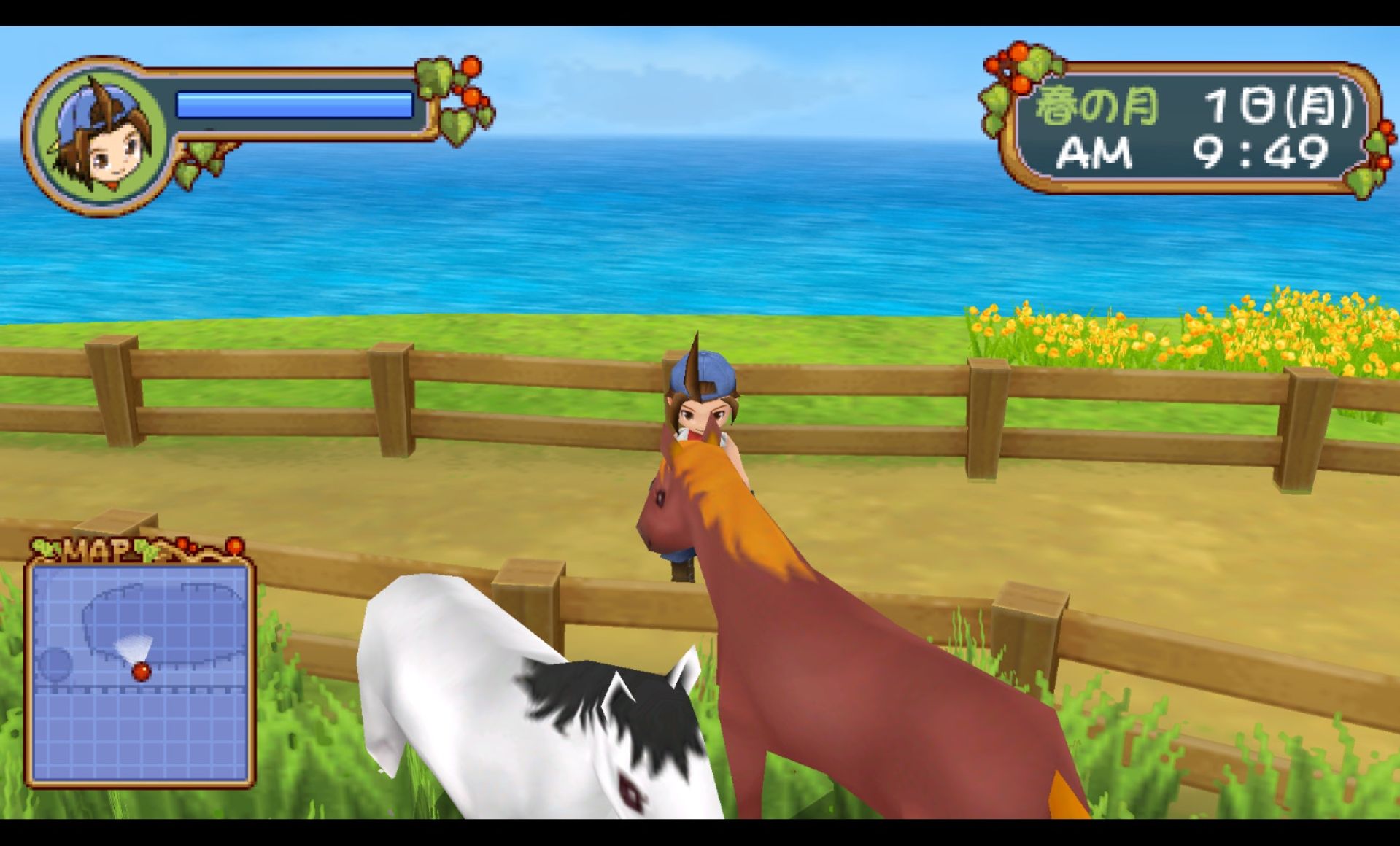 牧场物语：蜜糖村和大家的愿望PSP游戏截图第7张