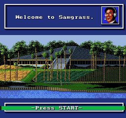 美国职业高尔夫巡回赛SFC游戏截图第8张