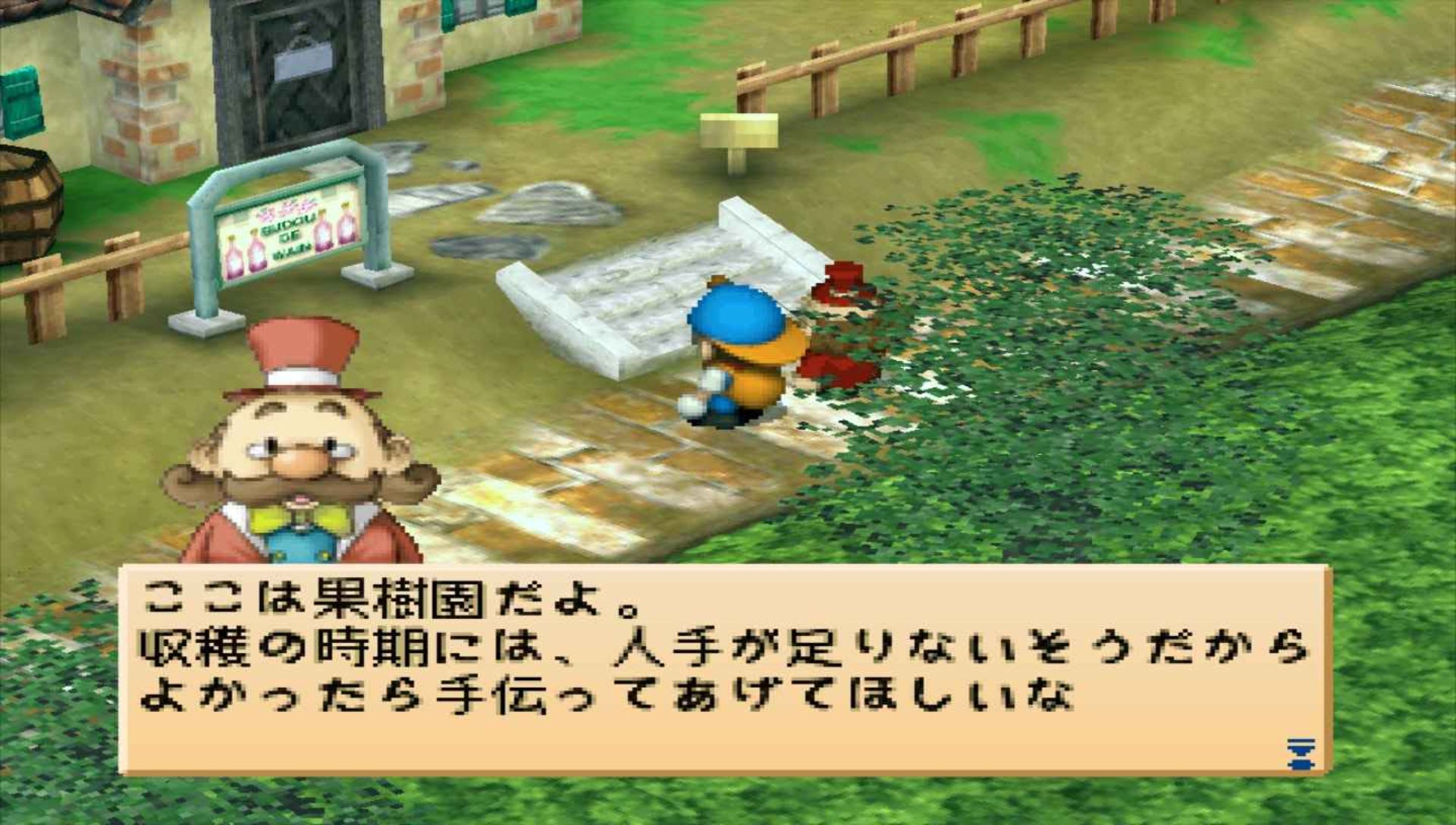 牧场物语：中秋满月PSP游戏截图第8张