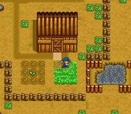 牧场物语SFC游戏截图第31张