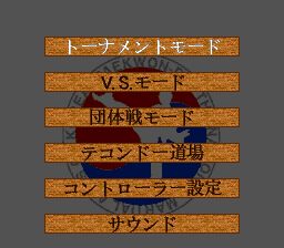 跆拳道SFC游戏截图第4张