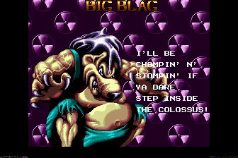 忍者蛙与双截龙MD游戏截图第6张