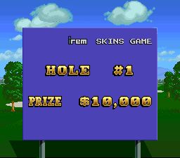 专业高尔夫／Irem高尔夫SFC游戏截图第6张