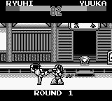 SD飞龙之拳外传1GB游戏截图第9张