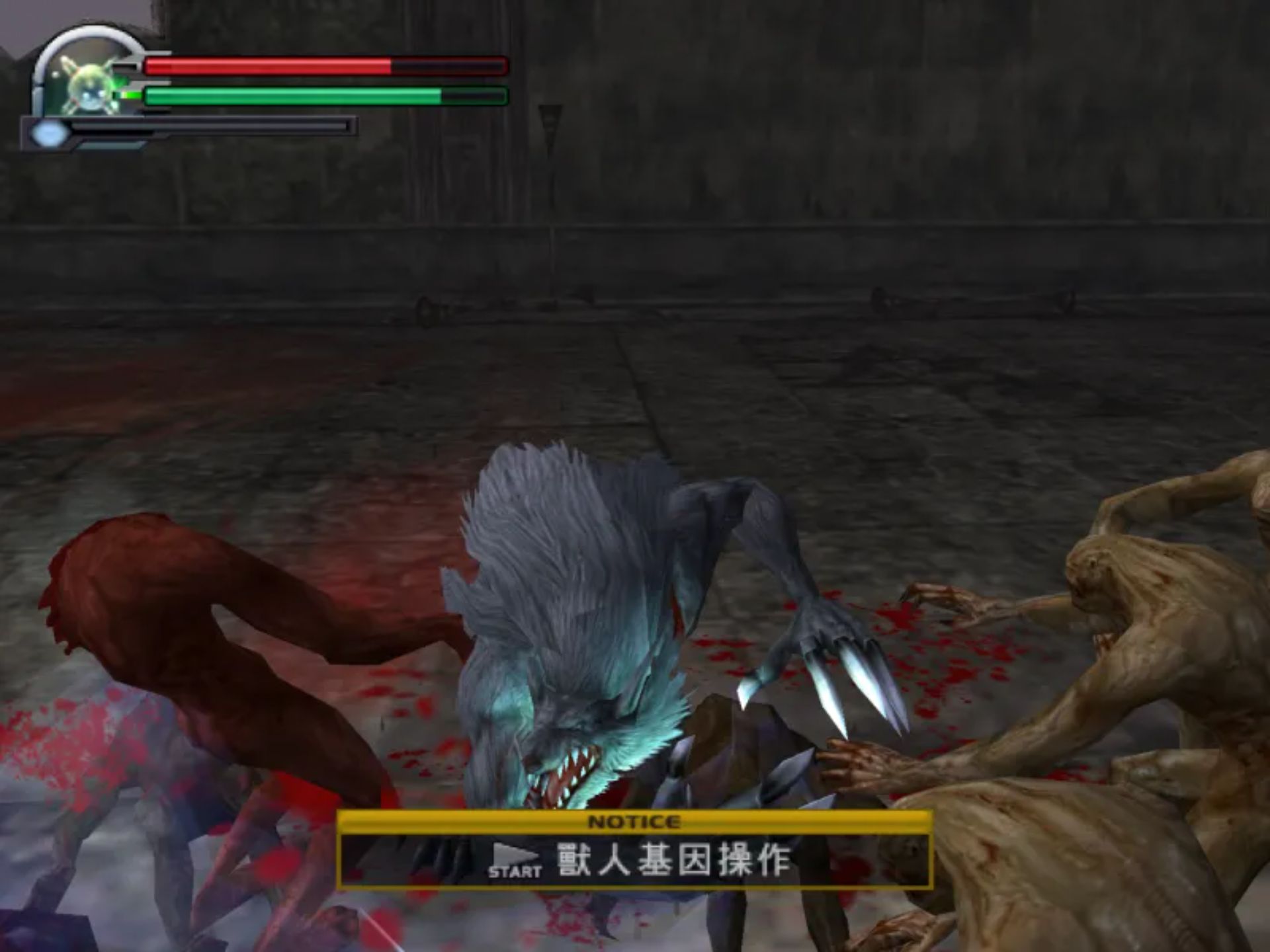 兽王记PS2游戏截图第9张