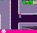 劳拉GBC游戏截图第18张