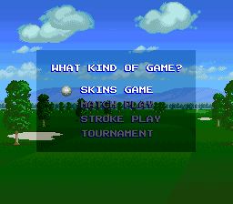 专业高尔夫／Irem高尔夫SFC游戏截图第3张