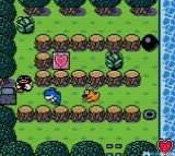 疯狂鼹鼠DXGBC游戏截图第13张