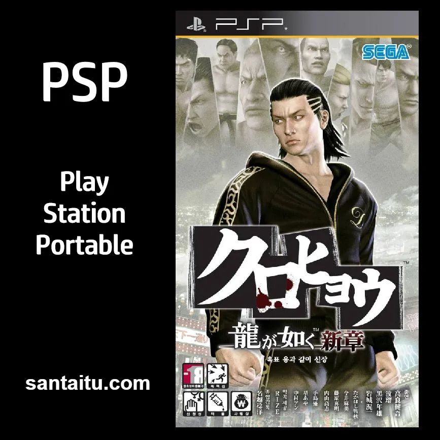 黑豹1：如龙新章