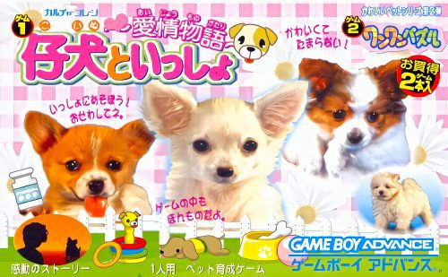 爱情物语：可爱的宠物小狗