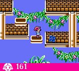 劳拉GBC游戏截图第26张