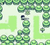 堕落骑士森林GB游戏截图第6张