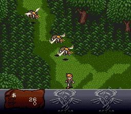 暗黑之王SFC游戏截图第23张