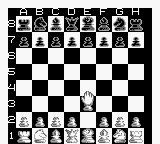 西洋棋大师／国际象棋大师GB游戏截图第5张