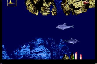 小海豚MD游戏截图第6张