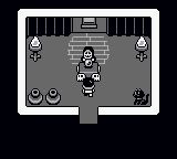 狗粪岛GB游戏截图第13张