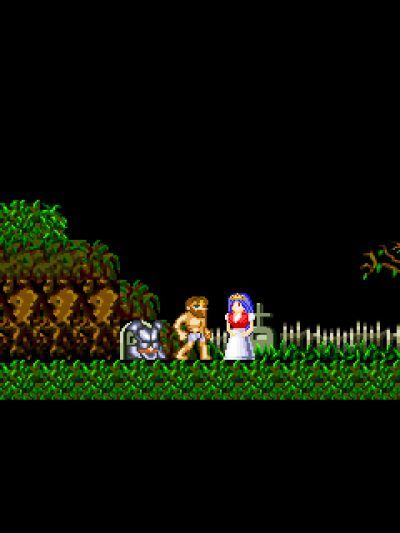 魔界村Java游戏截图第1张