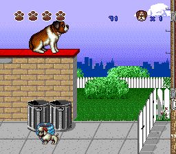 无敌当家2：我家也有贝多芬SFC游戏截图第8张