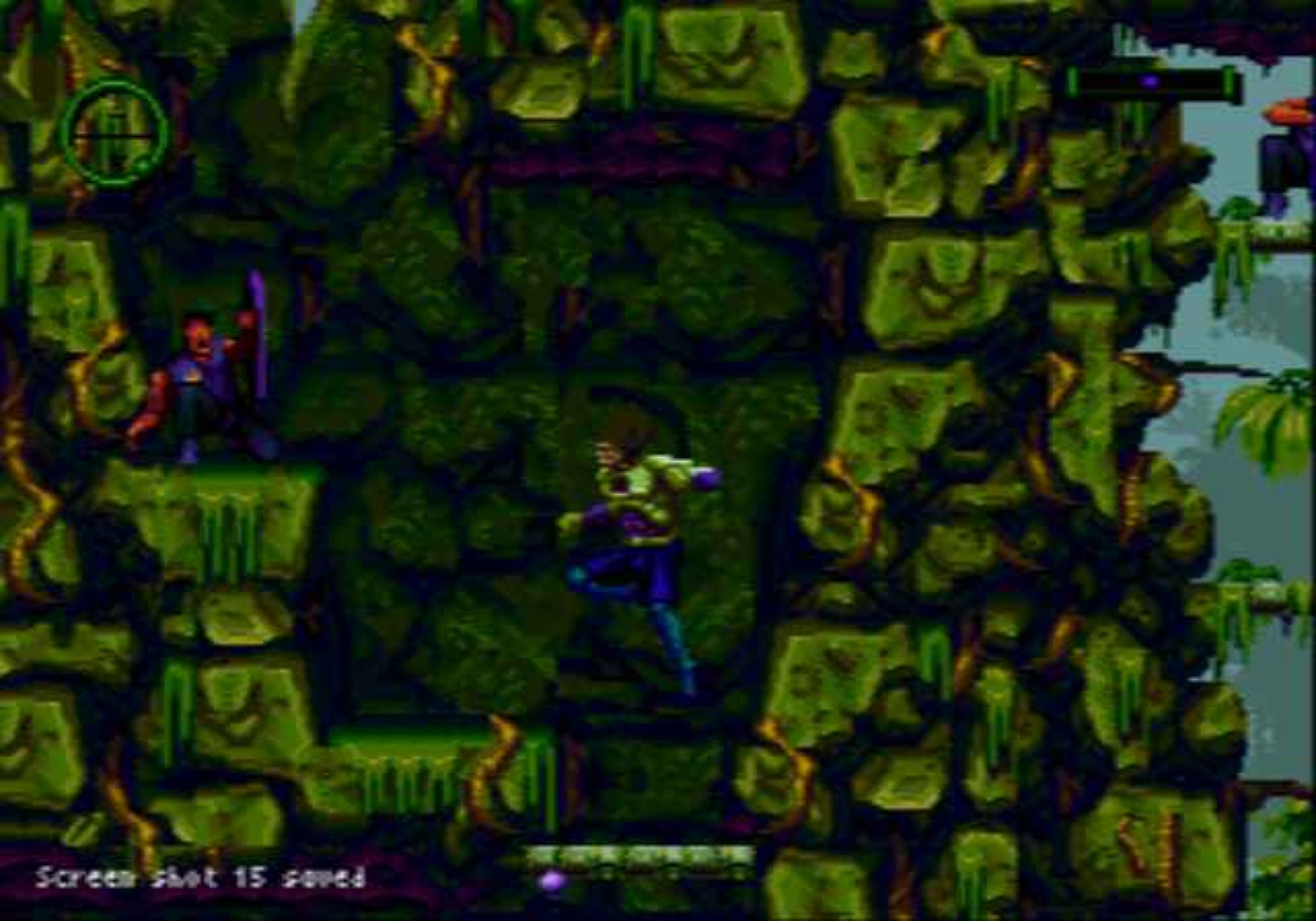 失落的世界MD游戏截图第11张