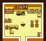 常去的田野GB游戏截图第9张