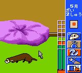 雪貂物语GBC游戏截图第12张