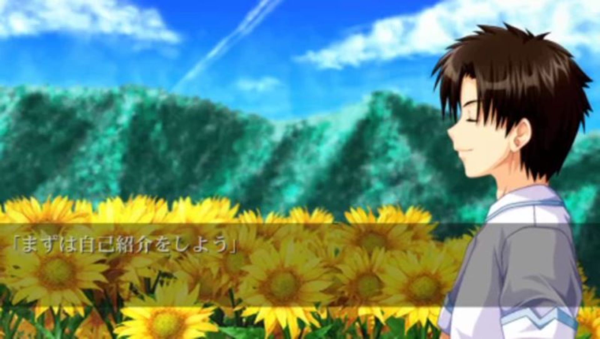 车轮之国：向日葵的少女PSP游戏截图第2张