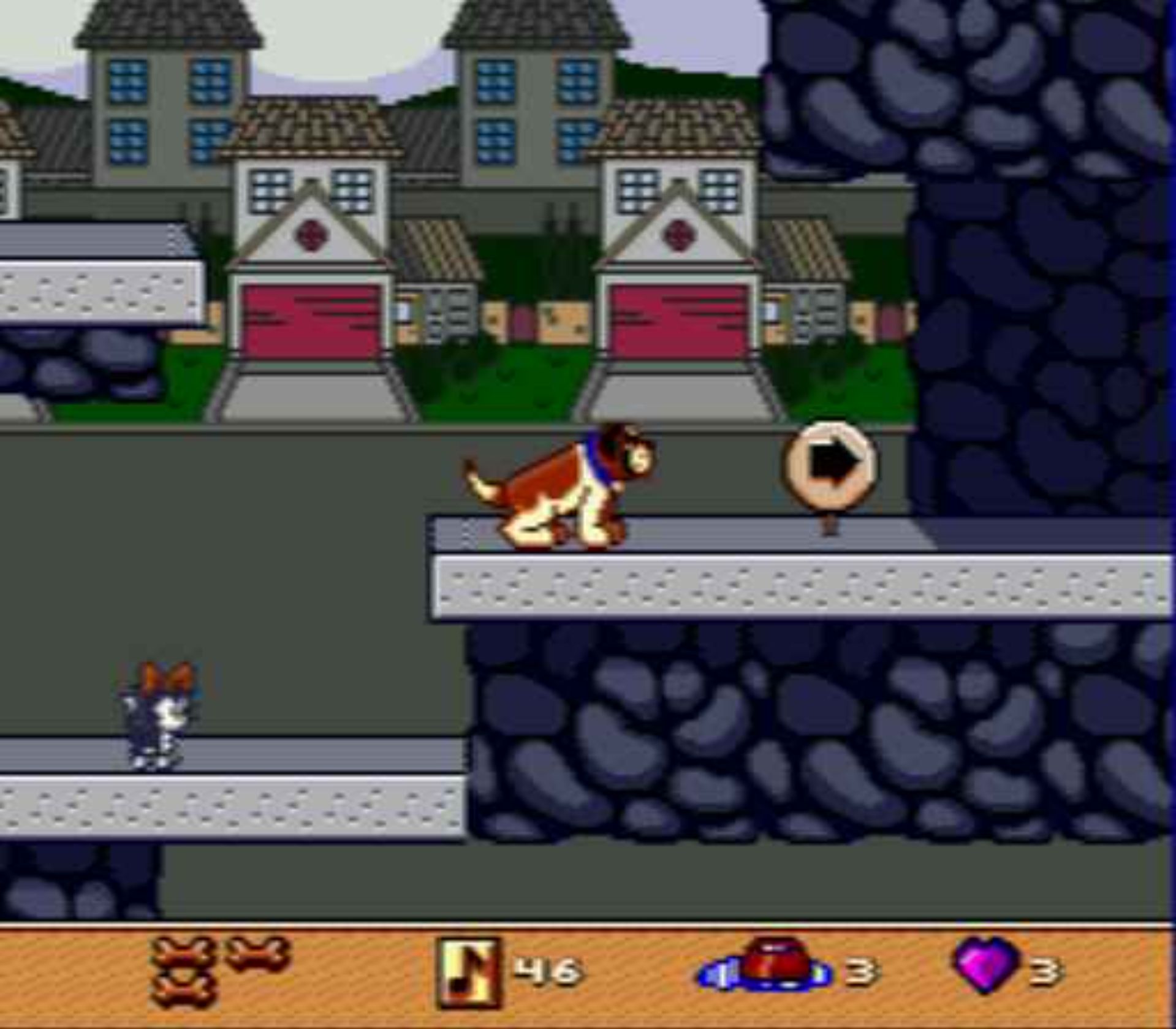 贝多芬2：寻找幼崽MD游戏截图第13张