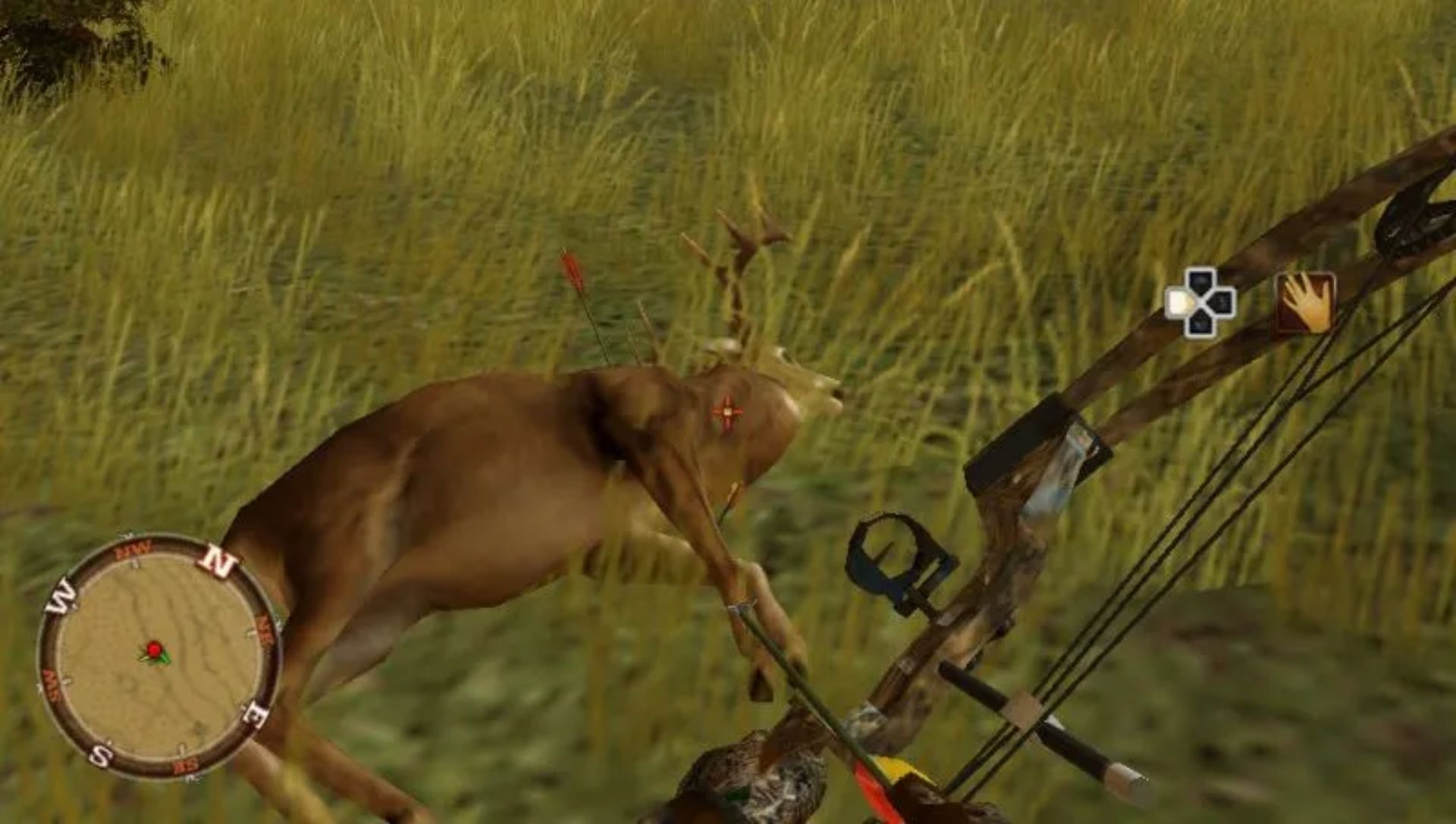 坎贝拉北美历险记PSP游戏截图第7张