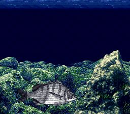 海钓高手SFC游戏截图第2张