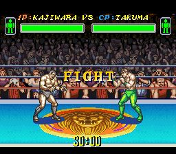 综合格斗技2SFC游戏截图第7张