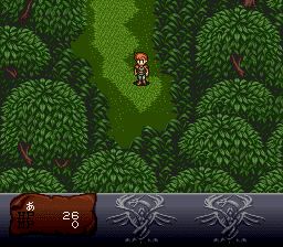 暗黑之王SFC游戏截图第5张