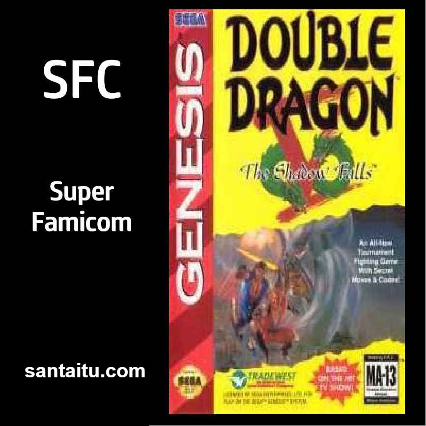 双截龙5：失落之影