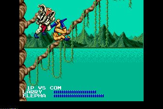 星际格斗家MD游戏截图第19张