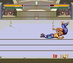 综合格斗技1：终极之战SFC游戏截图第14张