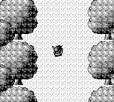 维生素王国物语GB游戏截图第13张