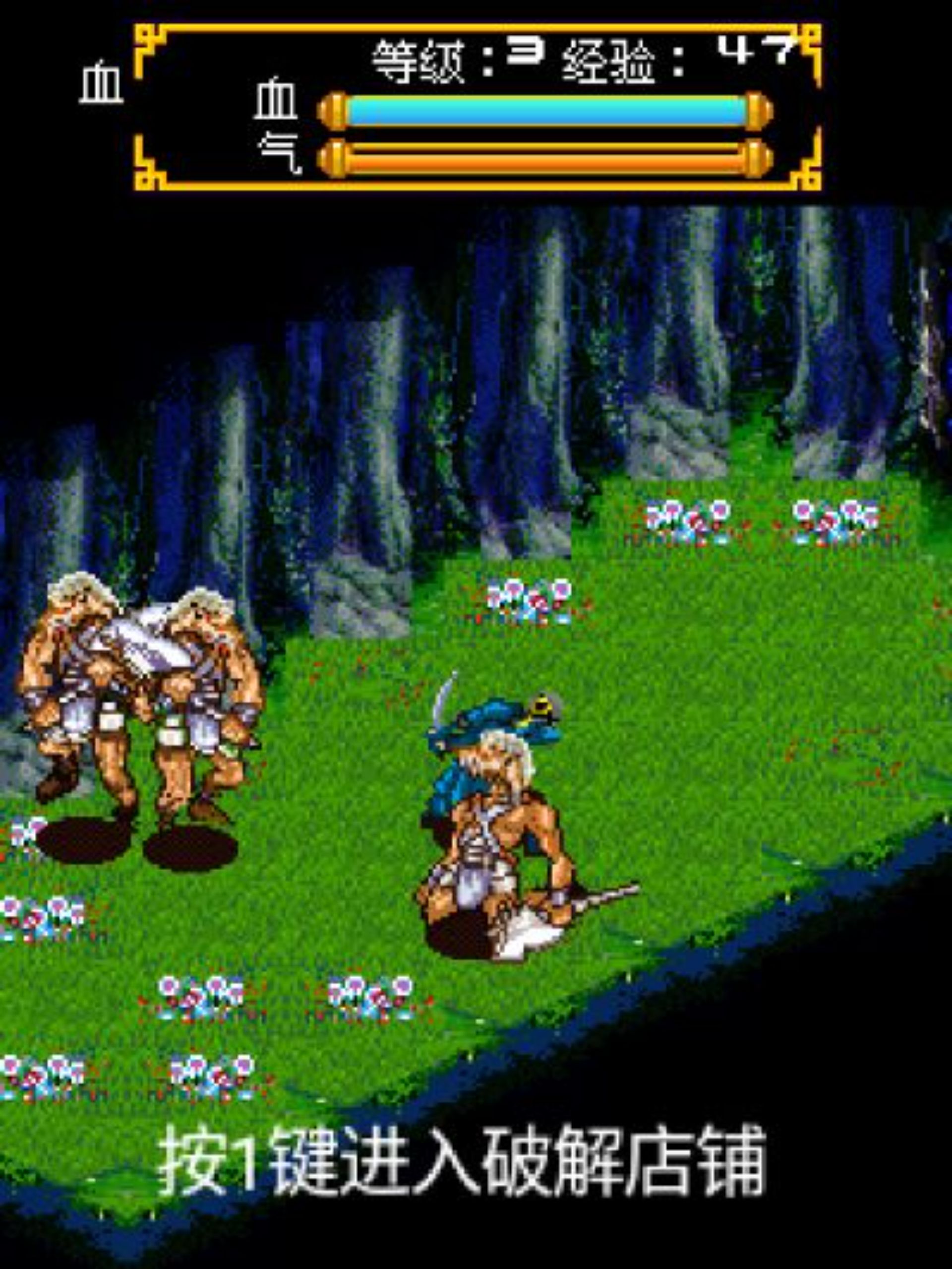 不死之身：黑暗诅咒Java游戏截图第12张