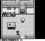 风来的西林：月影村的怪物GB游戏截图第15张