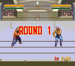综合格斗技1：终极之战SFC游戏截图第6张