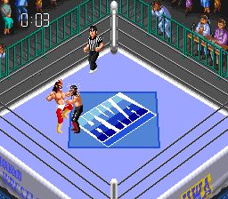 超级热血摔角世界3SFC游戏截图第10张