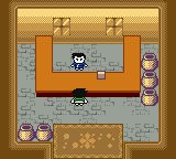 机兽新世纪：白银的兽机神零式长牙狮GBC游戏截图第32张