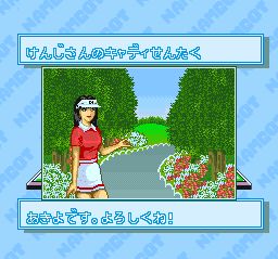 拿姆科高尔夫SFC游戏截图第5张