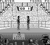 自由搏击之王／最佳空手道冠军GB游戏截图第5张