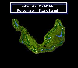 美国职业高尔夫巡回赛SFC游戏截图第3张