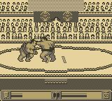 播磨滩相扑GB游戏截图第9张