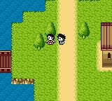 机兽新世纪：白银的兽机神零式长牙狮GBC游戏截图第30张