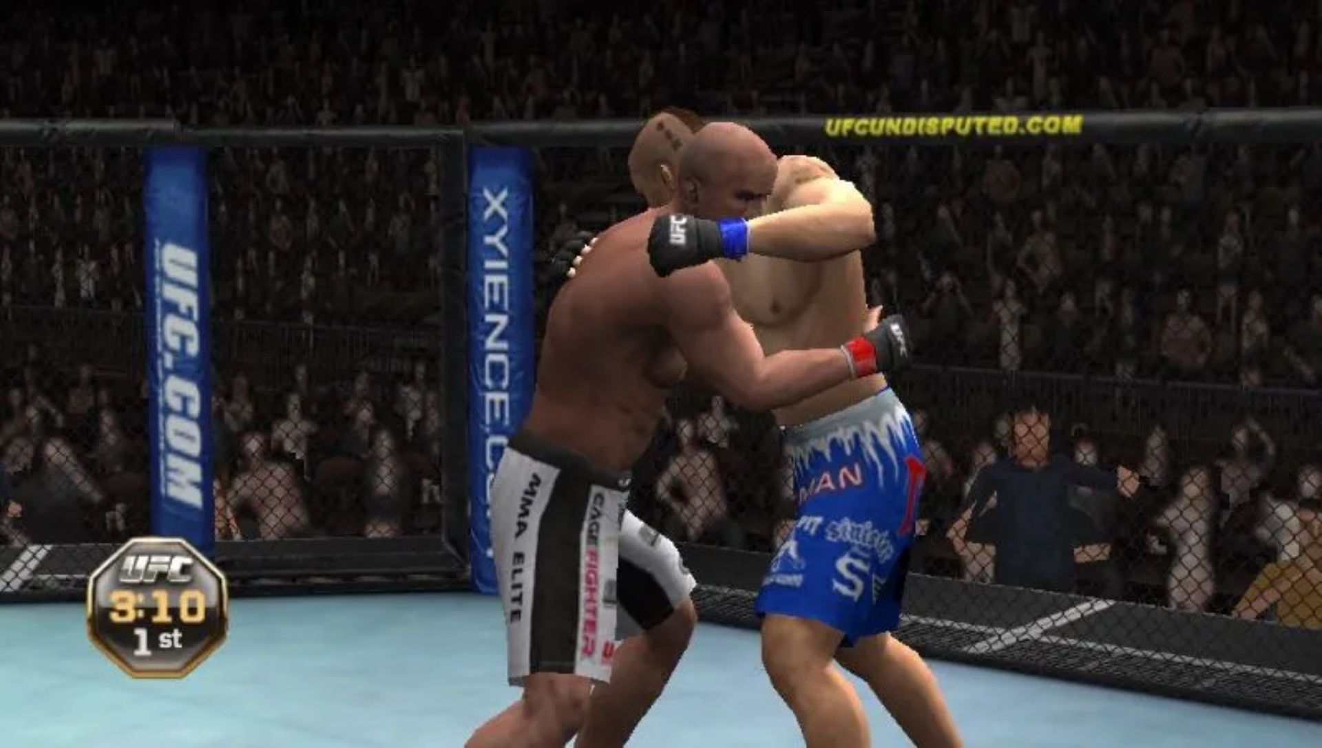 终极格斗冠军赛2010PSP游戏截图第13张