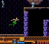 博亚德堡GBC游戏截图第16张