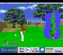 魔鬼球场高尔夫SFC游戏截图第5张