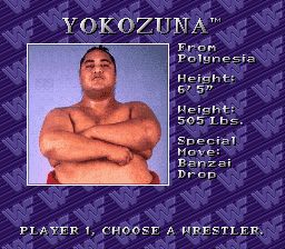 WWF皇家摔角SFC游戏截图第4张